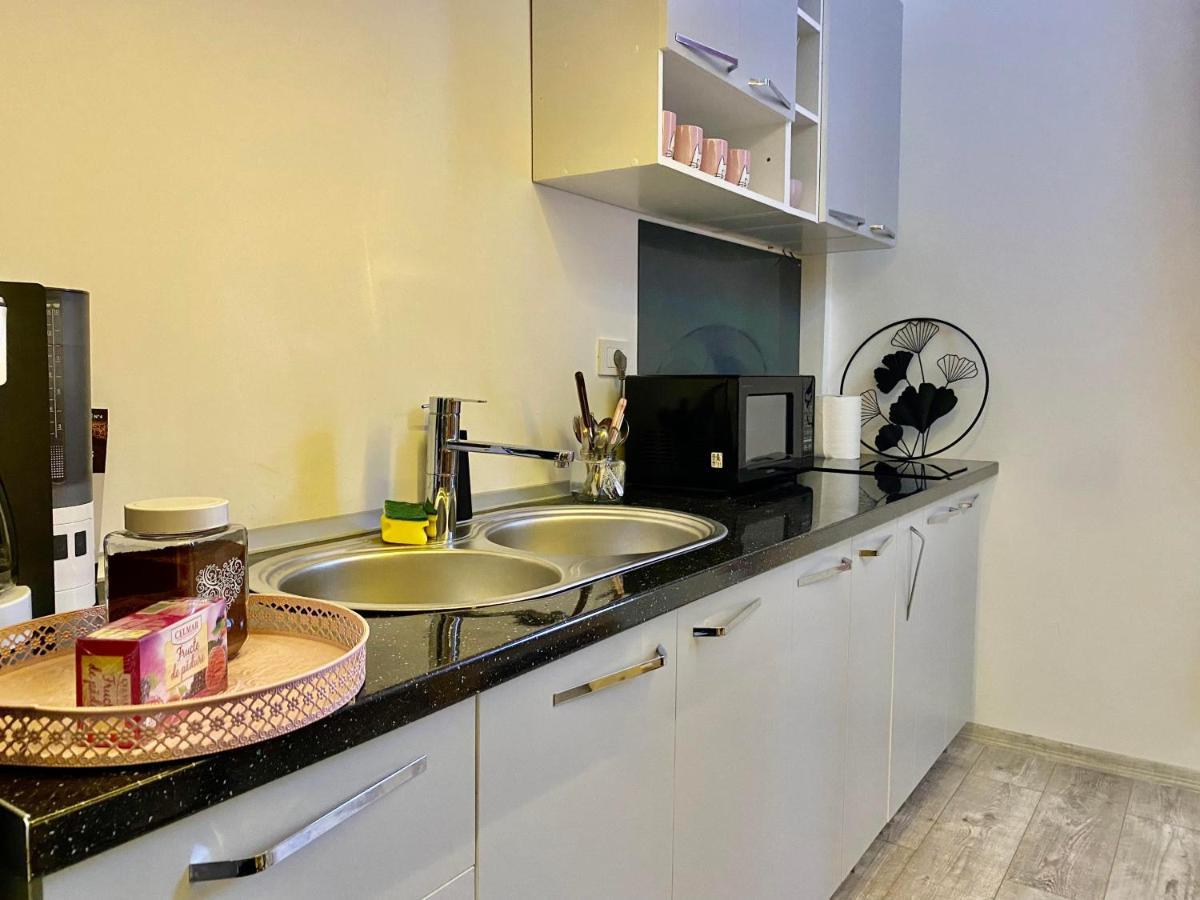 شقة The Central Apartament كلوج-نابوكا المظهر الخارجي الصورة